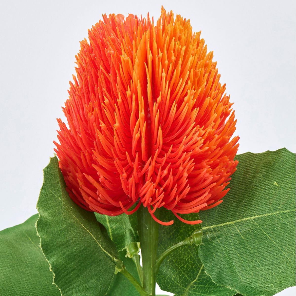 【造花】MAGIQ東京堂/カラフルミニバンクシア #9  DKOR ダークオレンジ/FM003127-009