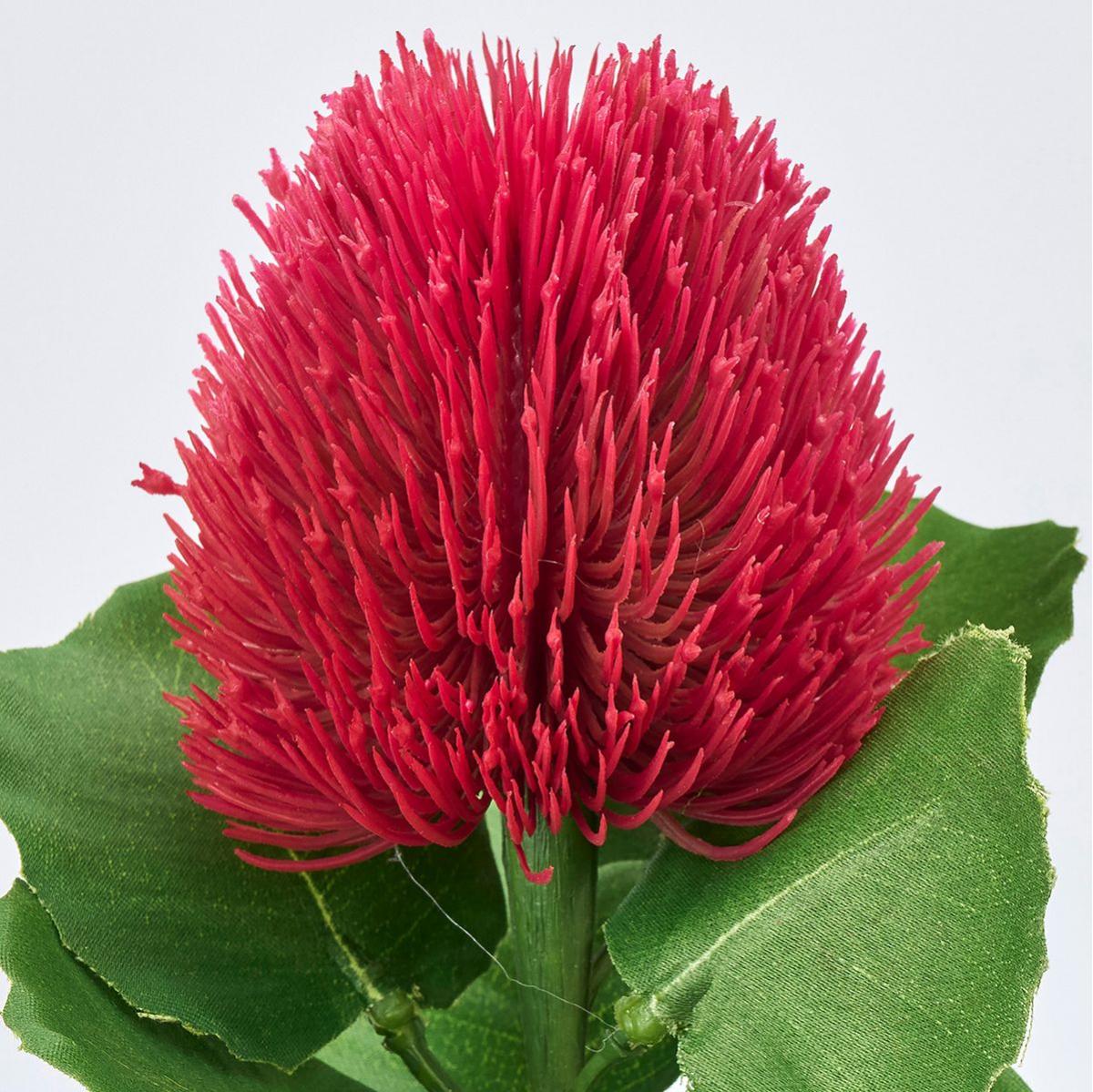 【造花】MAGIQ東京堂/カラフルミニバンクシア #16 BTY/RD ビューティレッド/FM003127-016