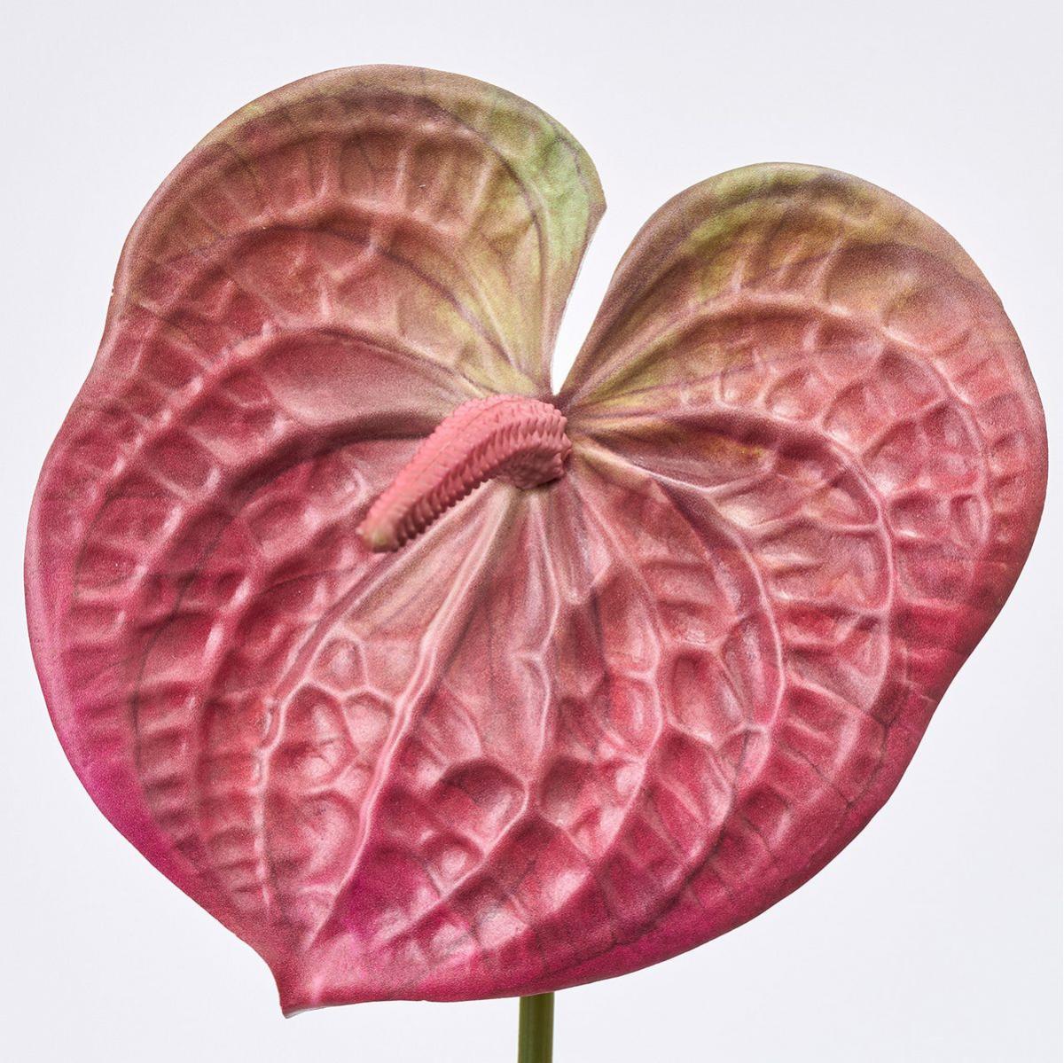 【造花】MAGIQ東京堂/テラコッタアンスリウム #7  BURG バーガンディ/FM302605-007