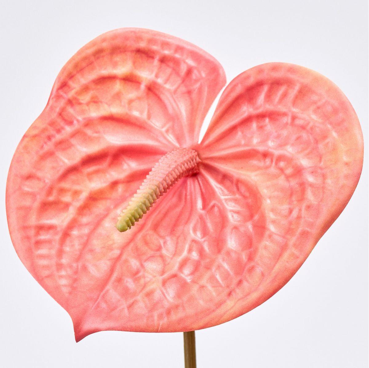 【造花】MAGIQ東京堂/テラコッタアンスリウム #9  DKOR ダークオレンジ/FM302605-009