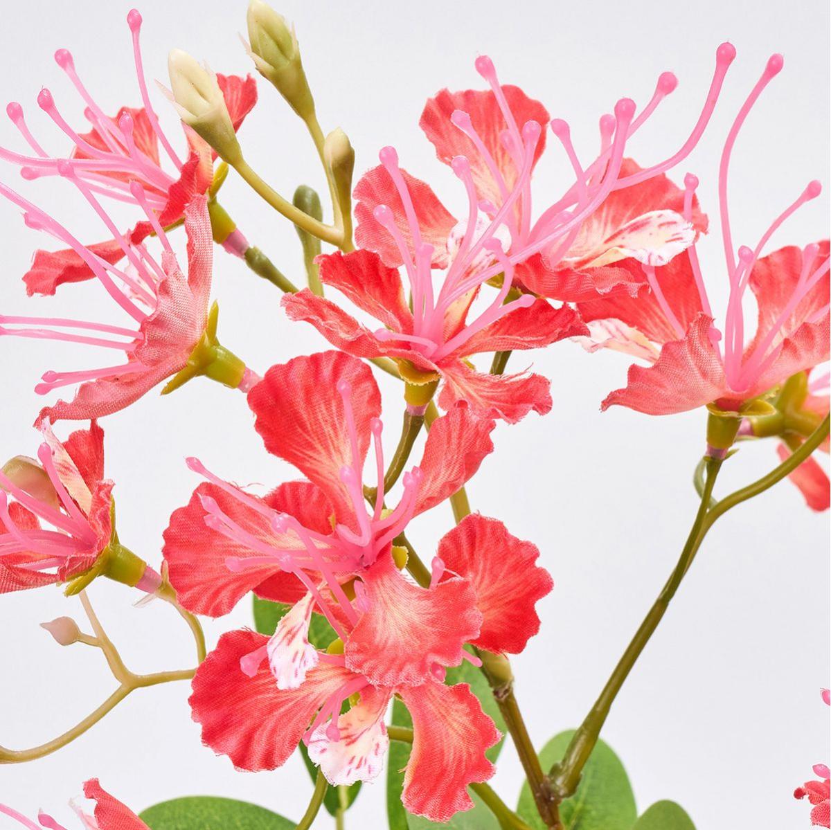 【造花】MAGIQ東京堂/カエサルピニア #3  LTRD ライトレッド/FM000627-003