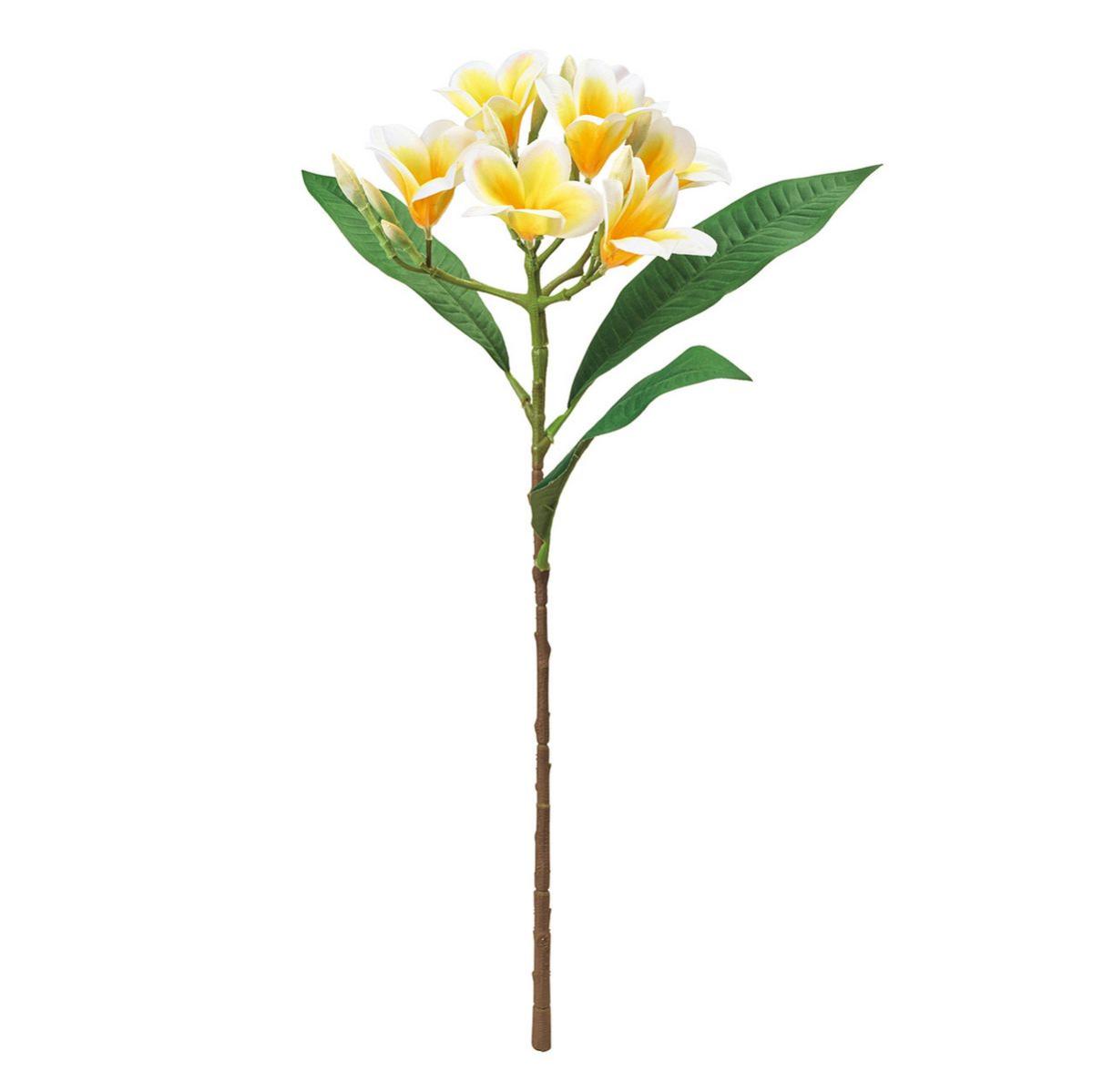 【造花】MAGIQ東京堂/アランプルメリア #104 CR/YL クリームイエロー/FM001194-104