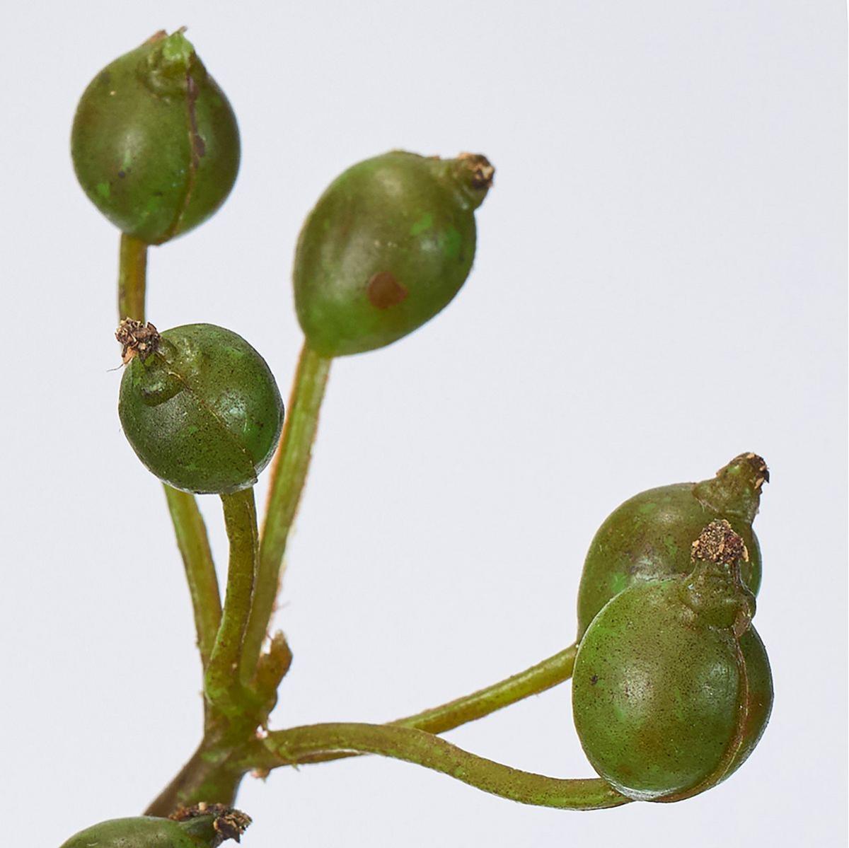 【造花】MAGIQ東京堂/ワイルドローズヒップ #24 GREEN グリーン/FM004996-024