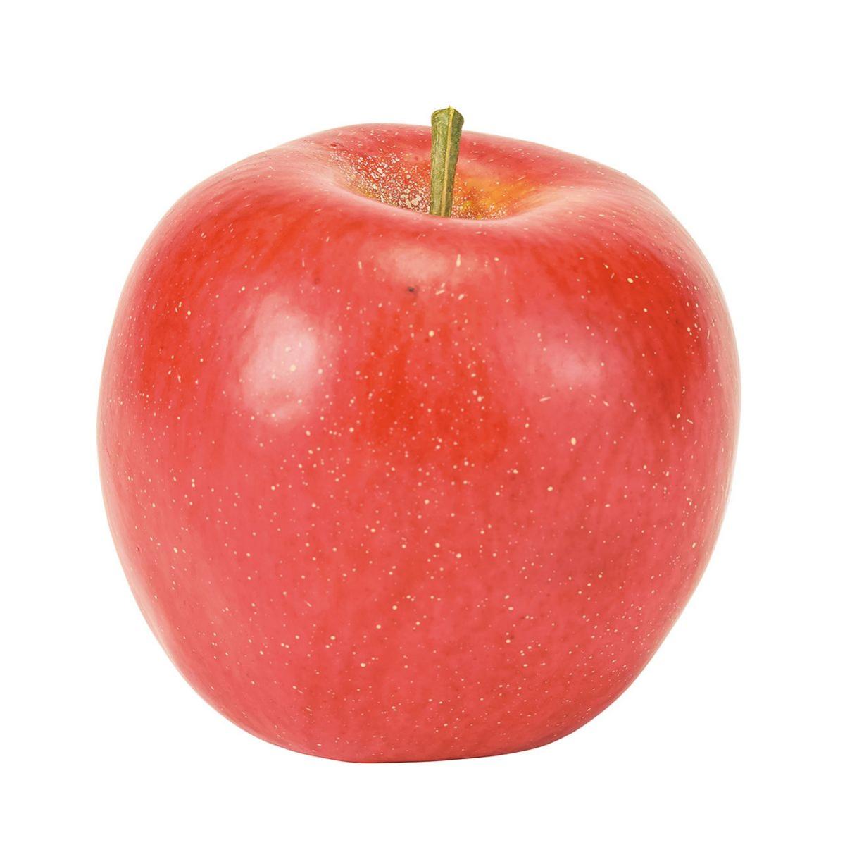 特価◎【造花】リンゴ RED レッド/FV000513