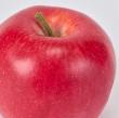 特価◎【造花】リンゴ RED レッド/FV000513