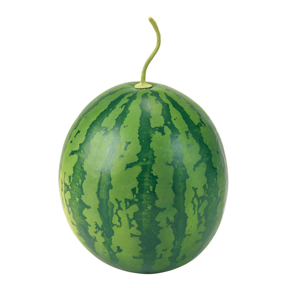 【造花】スイカ GREEN グリーン/FV000516