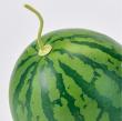 【造花】スイカ GREEN グリーン/FV000516
