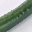 【造花】キュウリ GREEN グリーン/FV000515