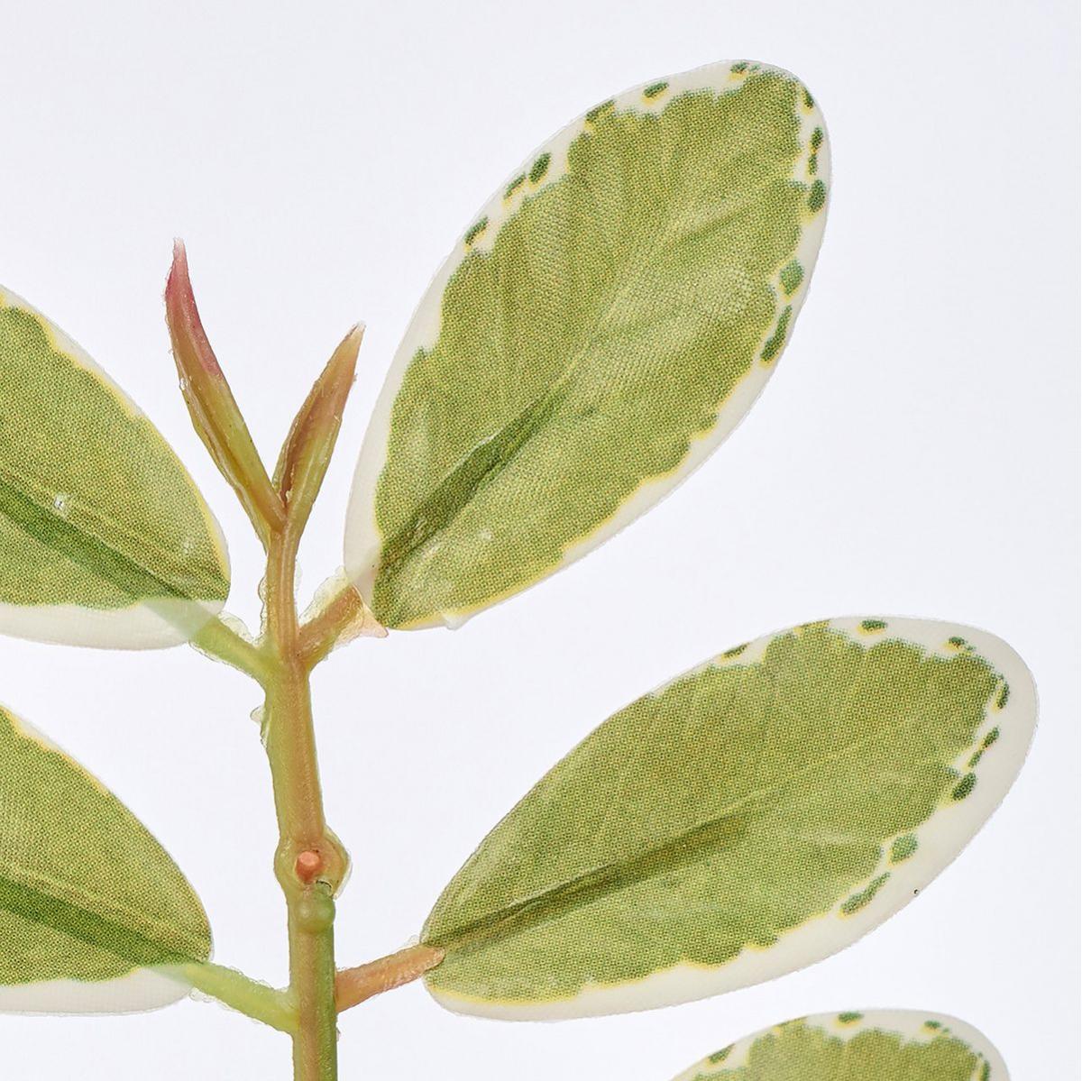 【造花】MAGIQ東京堂/斑入りプリペットピック WH/GR ホワイトグリーン/FG000135