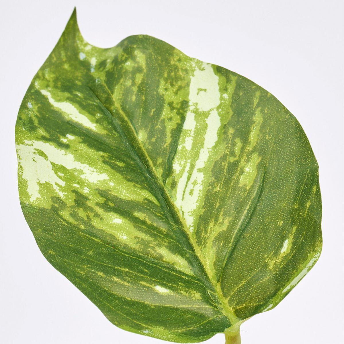 【造花】MAGIQ東京堂/マーブルポトススプレー TTGR ツートングリーン/FG009172