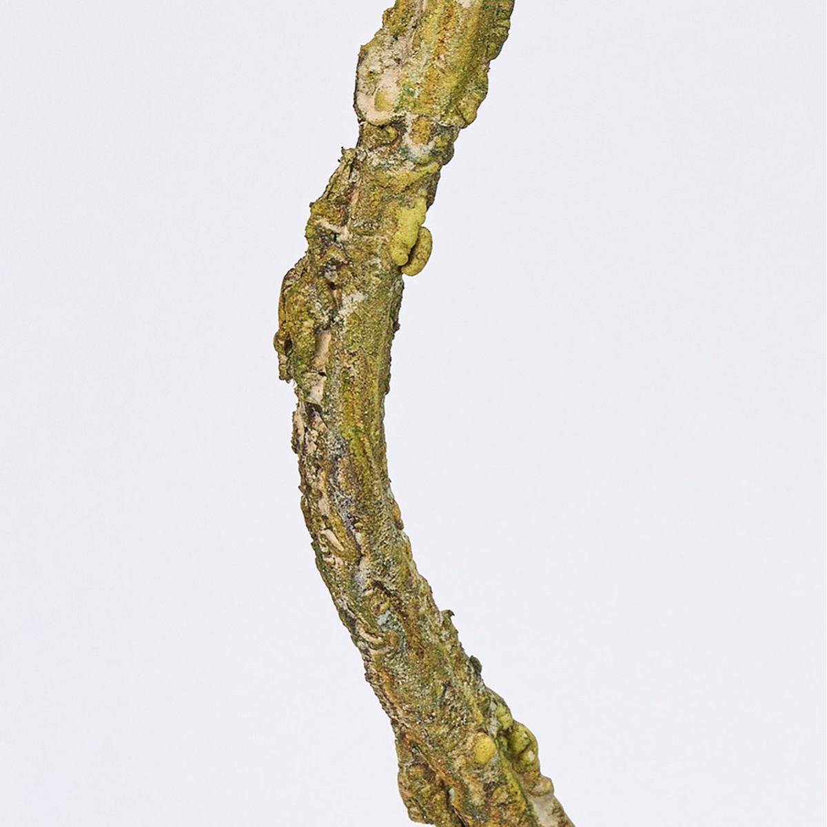 【造花】MAGIQ東京堂/ツイッグバンドル #13 BE/GR ベージュグリーン/FG005221-013