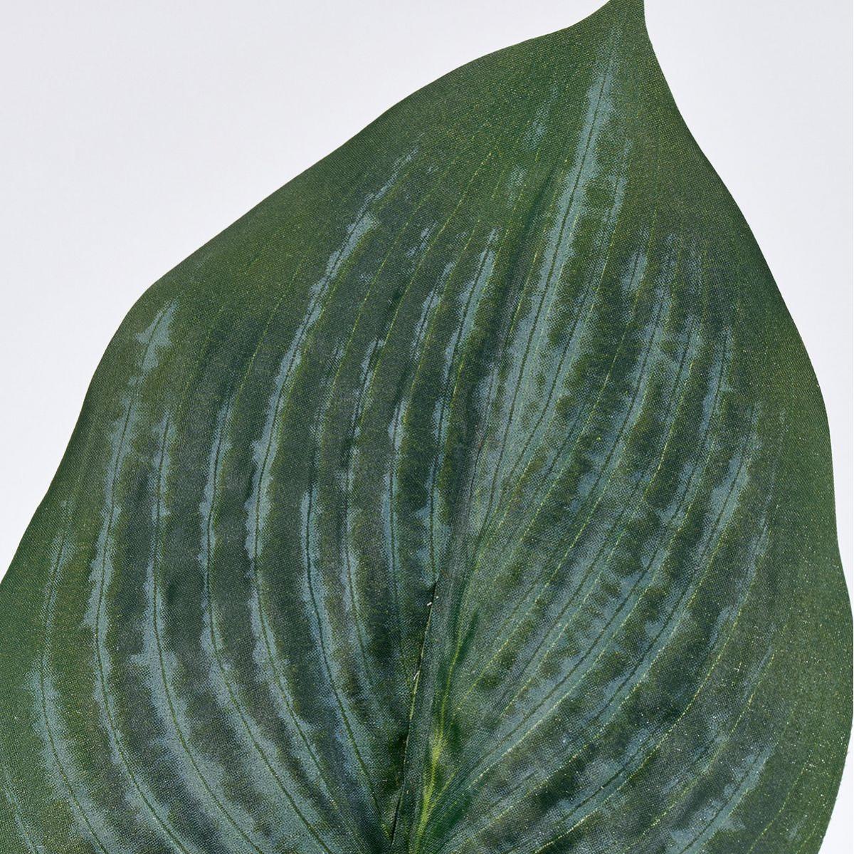 【造花】MAGIQ東京堂/ホスタリーフ #24 GREEN グリーン/FG000937-024