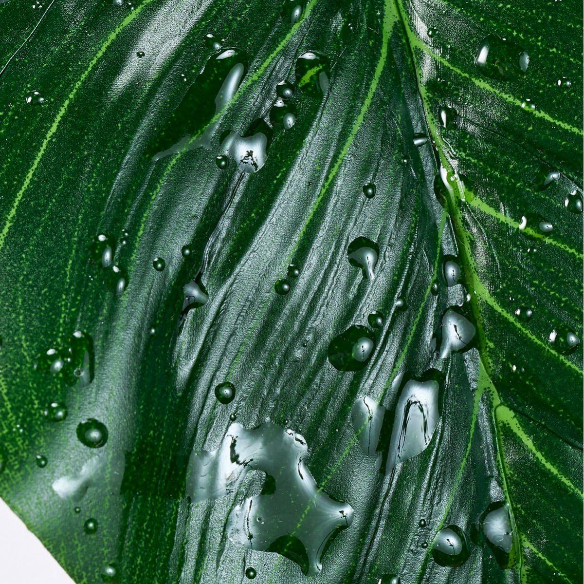 【造花】MAGIQ東京堂/レインドロップ カラーリーフ GREEN グリーン/FG008909