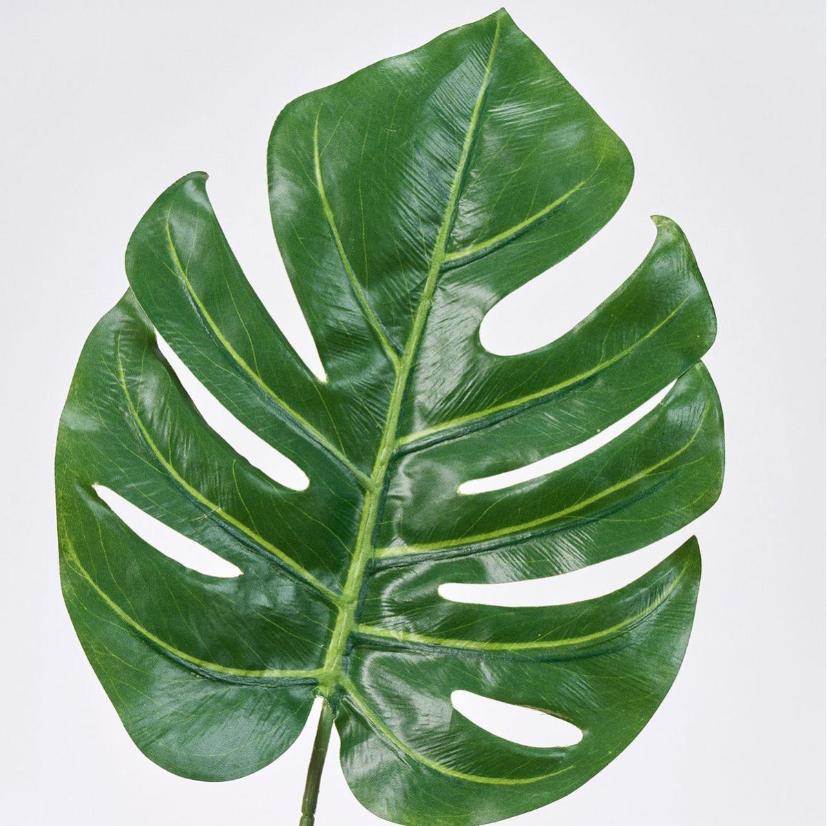 【造花】MAGIQ東京堂/モンステラエレガンテ GREEN グリーン/FG005039