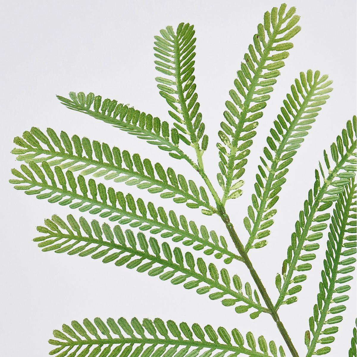 【造花】MAGIQ東京堂/エバーフレッシュ枝 LTGR ライトグリーン/FG000959