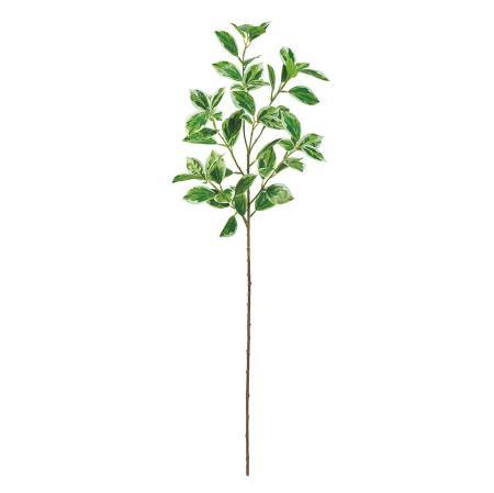 【造花】MAGIQ東京堂/斑入りファイカススプレー WH/GR ホワイトグリーン/FG001206