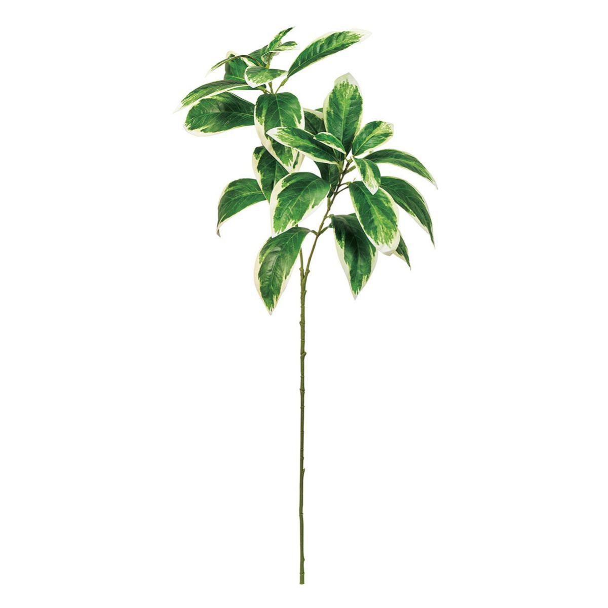 【造花】MAGIQ東京堂/斑入りファイカス WH/GR ホワイトグリーン/FG005913