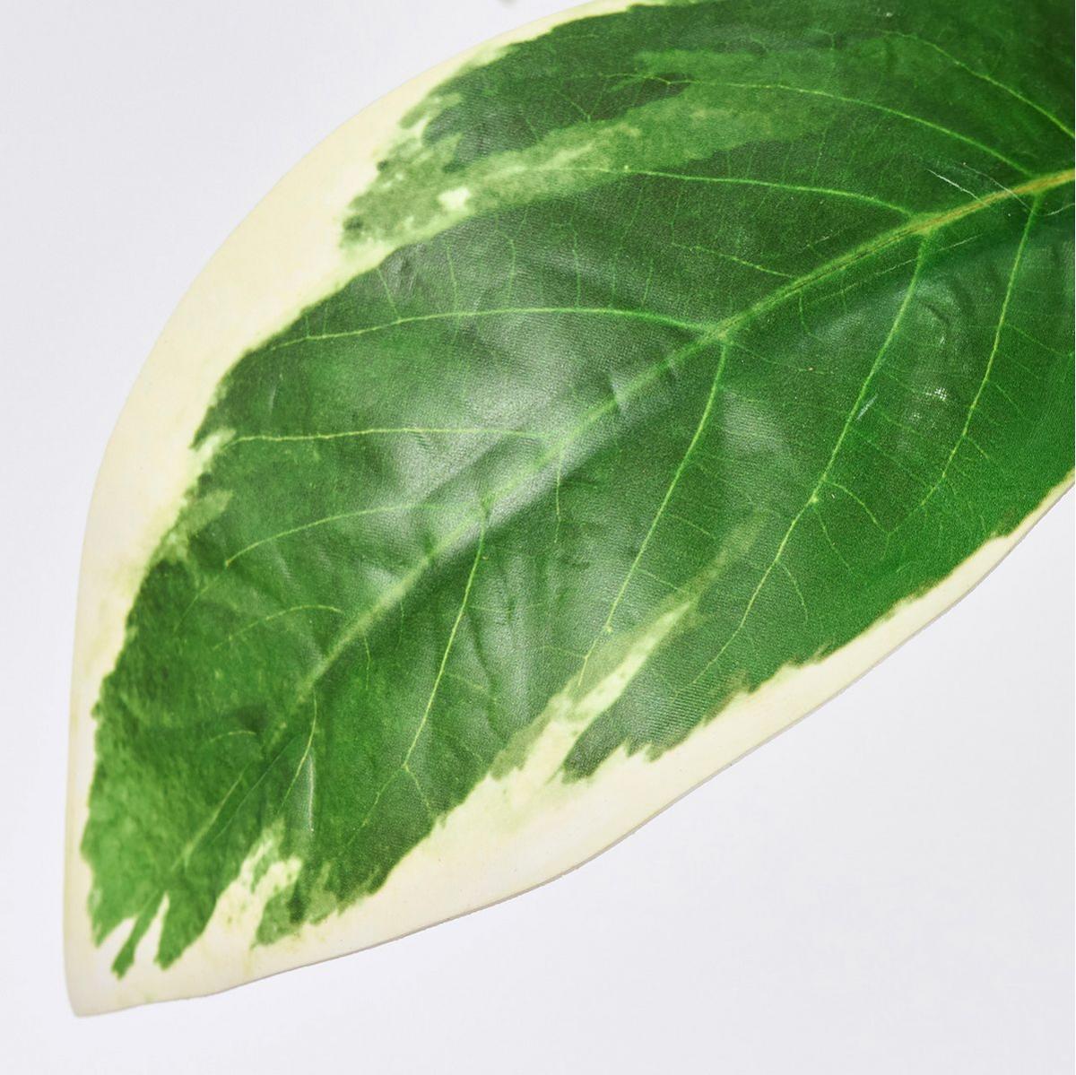 【造花】MAGIQ東京堂/斑入りファイカス WH/GR ホワイトグリーン/FG005913