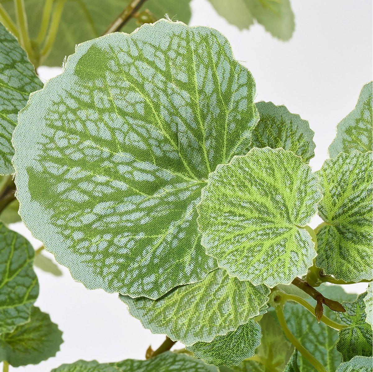 【造花】MAGIQ東京堂/ベゴニアブランチ GREEN グリーン/FG000019