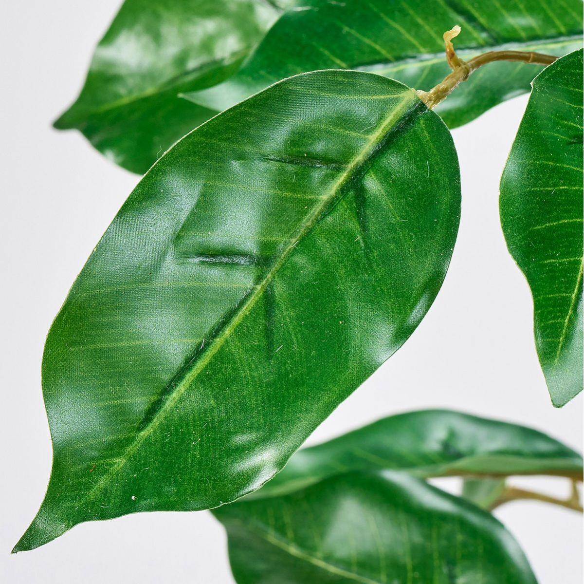 【造花】MAGIQ東京堂/ファイカスベンジャミン GREEN グリーン/FG000574