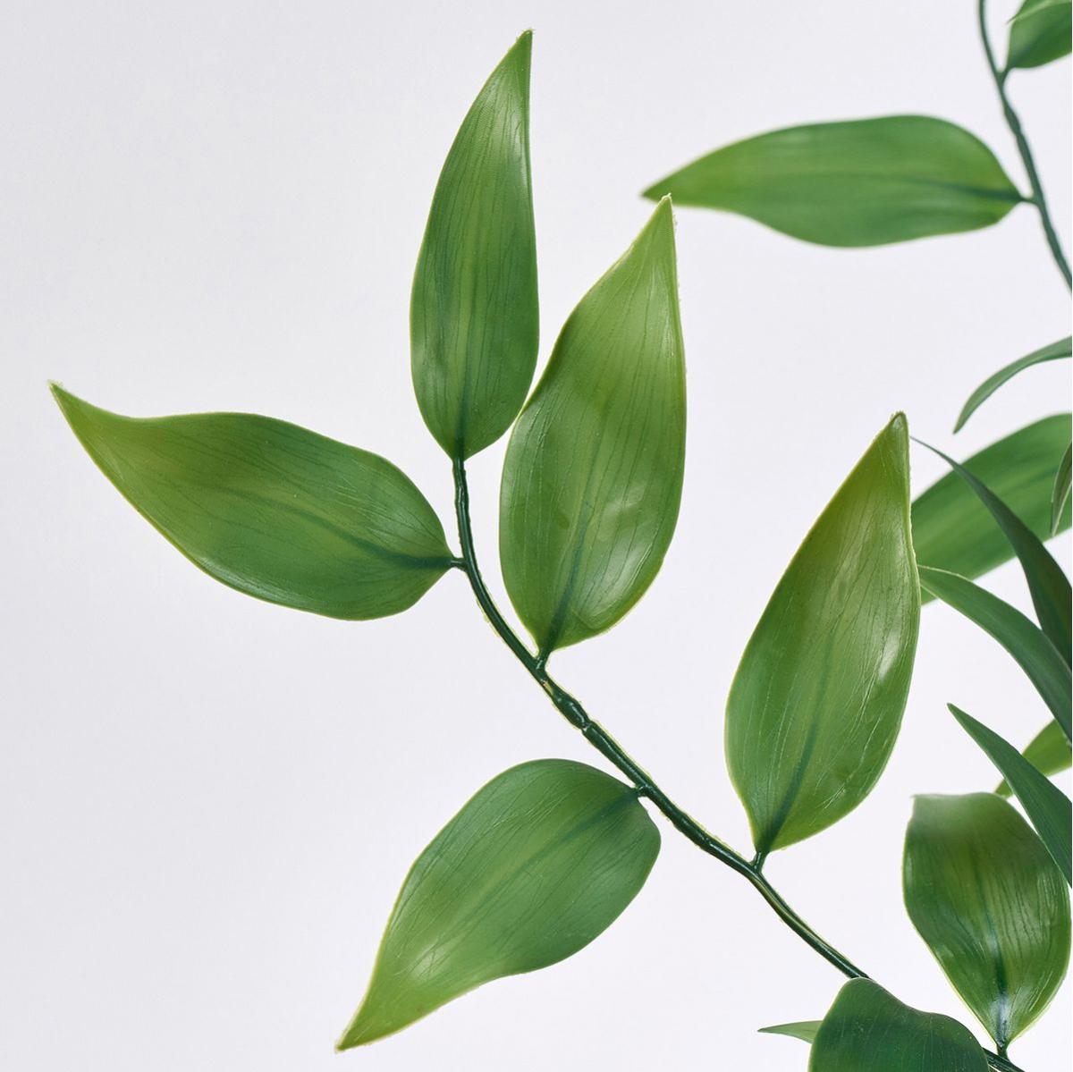 【造花】MAGIQ東京堂/ルスカスグリーンブランチ DKGR ダークグリーン/FG302606