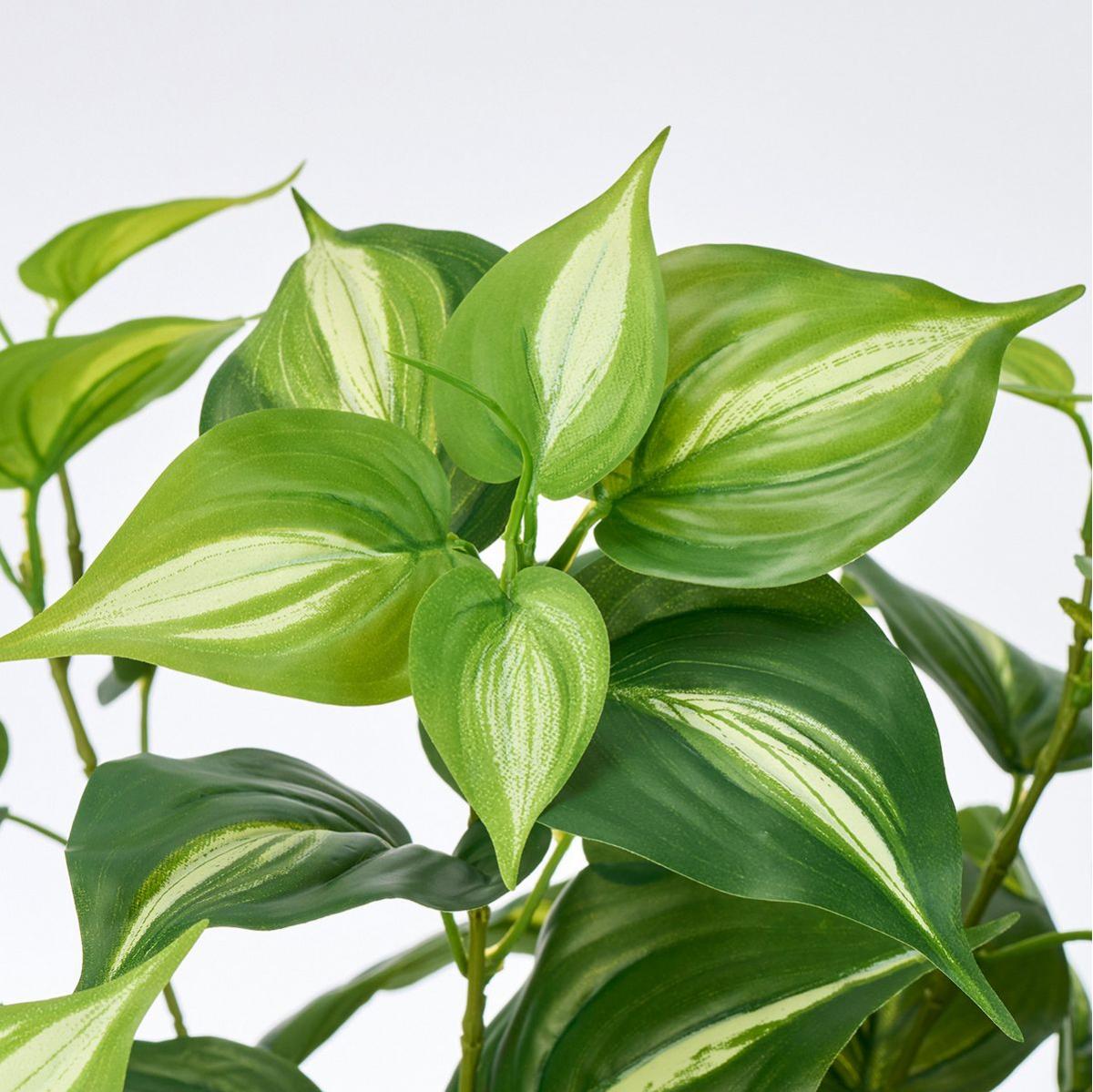 【造花】MAGIQ東京堂/セレーナポトスブッシュ TTGR ツートングリーン/FG009291