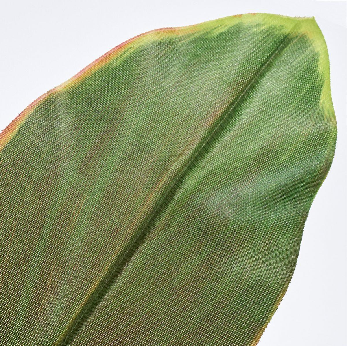 【造花】MAGIQ東京堂/ラウンドコルディリネブッシュ YL/PP/GR イエローパープルグリーン/FG000912