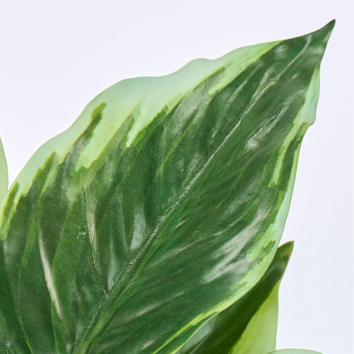 【造花】MAGIQ東京堂/ミニディフェンバキアカミーユ CR/GR クリームグリーン/FG003902