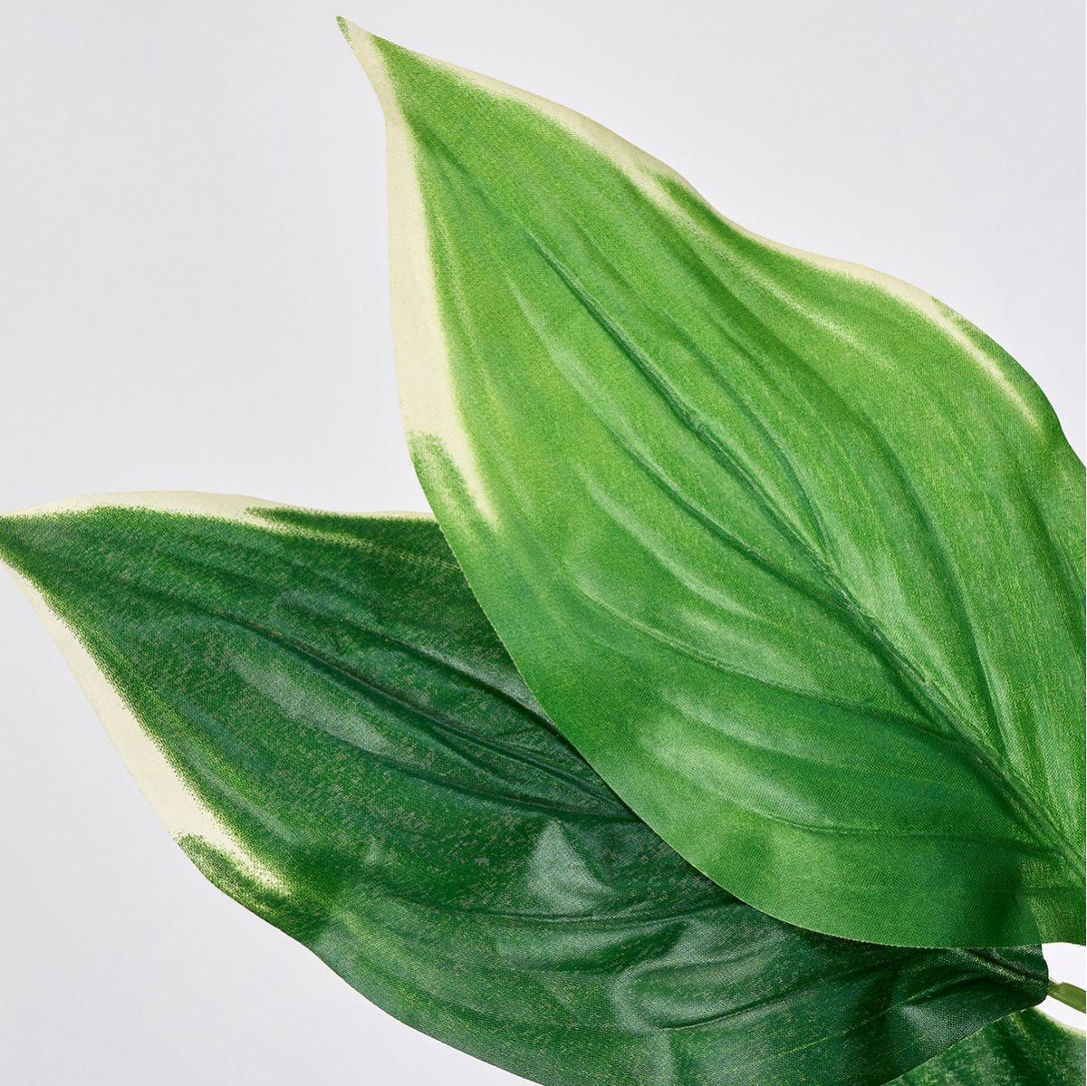 【造花】MAGIQ東京堂/ホスタロングブッシュ GREEN グリーン/FG004444