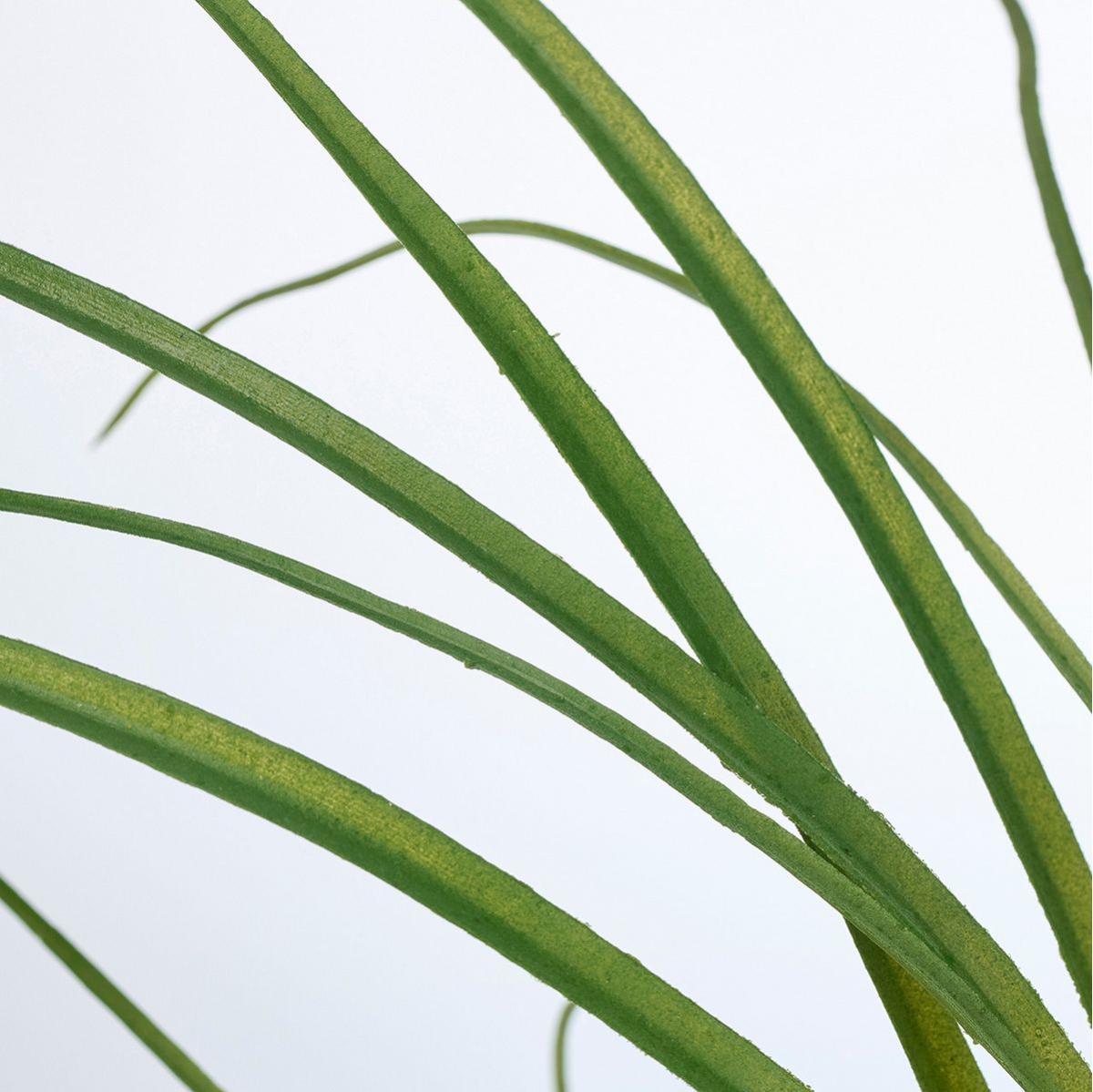 【造花】MAGIQ東京堂/シュンランブッシュ GREEN グリーン/FG000835