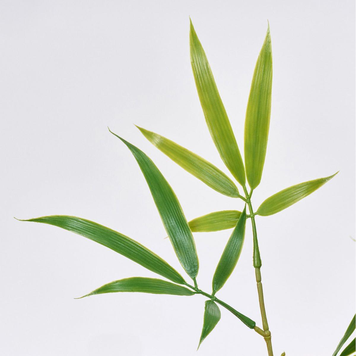 【造花】MAGIQ東京堂/笹竹 GREEN グリーン/FG002010