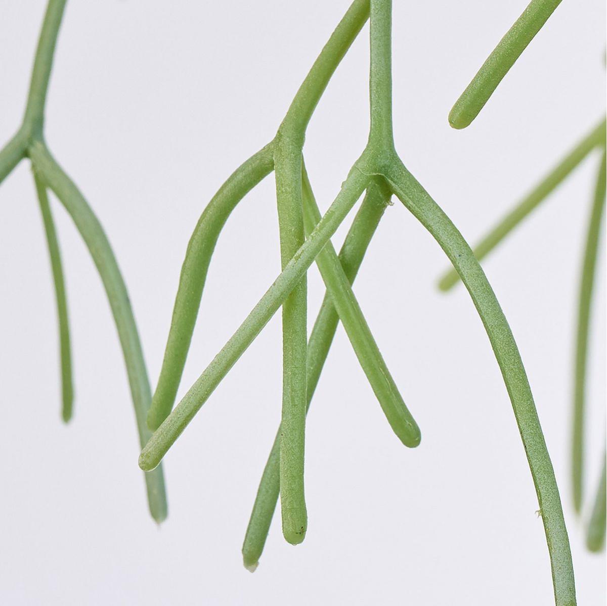 【造花】MAGIQ東京堂/ミルキーリプサリス GREYGR グレイグリーン/FG000534