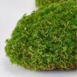 【造花】MAGIQ東京堂/クッションモス GREEN グリーン/FG002844