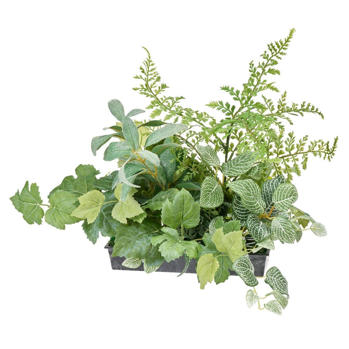 東京堂/グリーンアレンジRM  /ZA003034