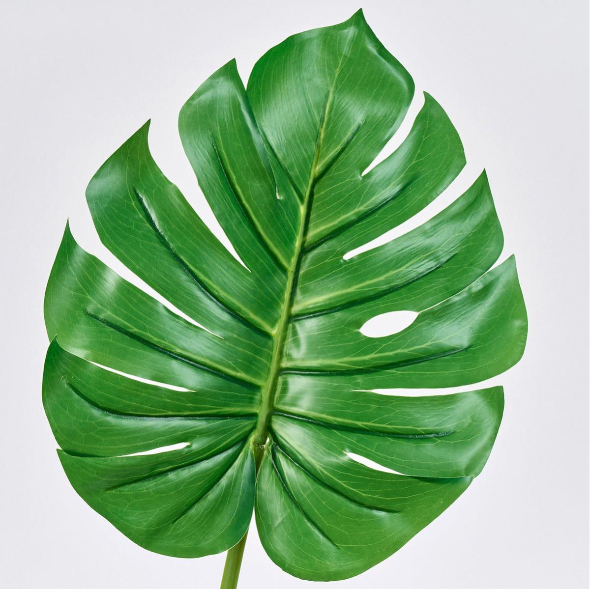 【造花】MAGIQ東京堂/エクステリアモンステラリーフ GREEN グリーン/FG000408