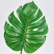 【造花】MAGIQ東京堂/エクステリアモンステラリーフ GREEN グリーン/FG000408