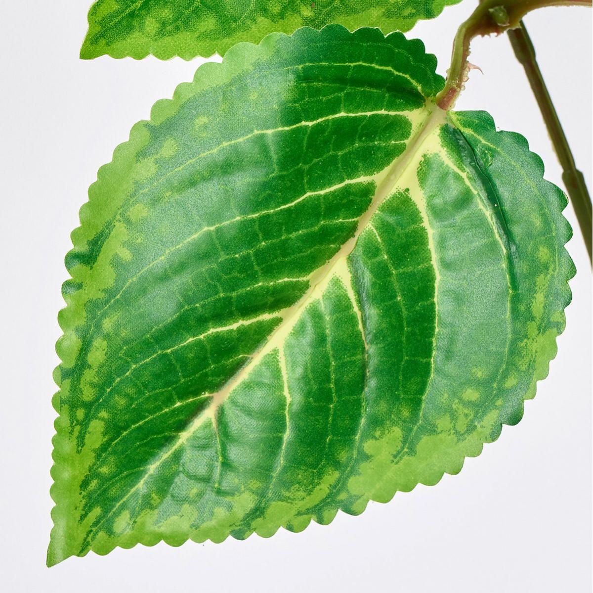 【造花】MAGIQ東京堂/エクステリアコリウスバイン TT/GR ツートングリーン/FG312601