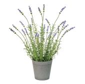 人工観葉植物】MAGIQ東京堂/ラベンダーポット LAVENDER ラベンダー