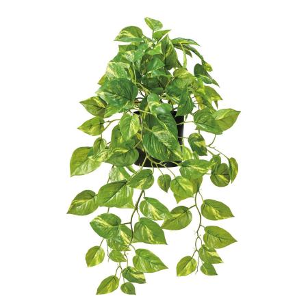 シェスタポトスポット(光触媒加工商品) GREEN グリーン/ZV001474