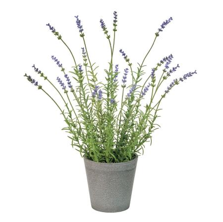 ラベンダーポット(光触媒加工商品) LAVENDER ラベンダー/ZV001490