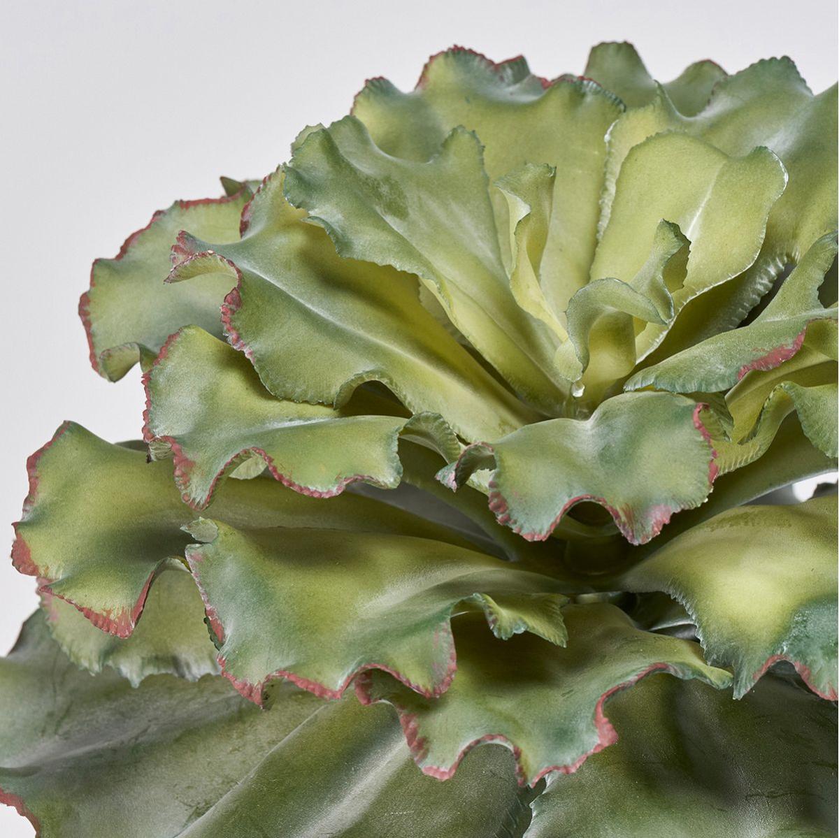 【人工観葉植物】MAGIQ東京堂/エケベリアフリルポット GREEN グリーン/FZ003828