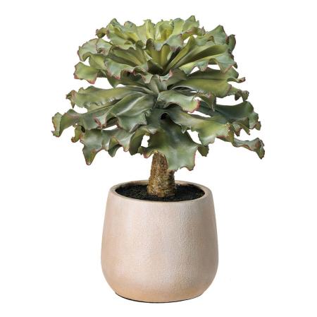 エケベリアフリルポット(光触媒加工商品) GREEN グリーン/ZV003828