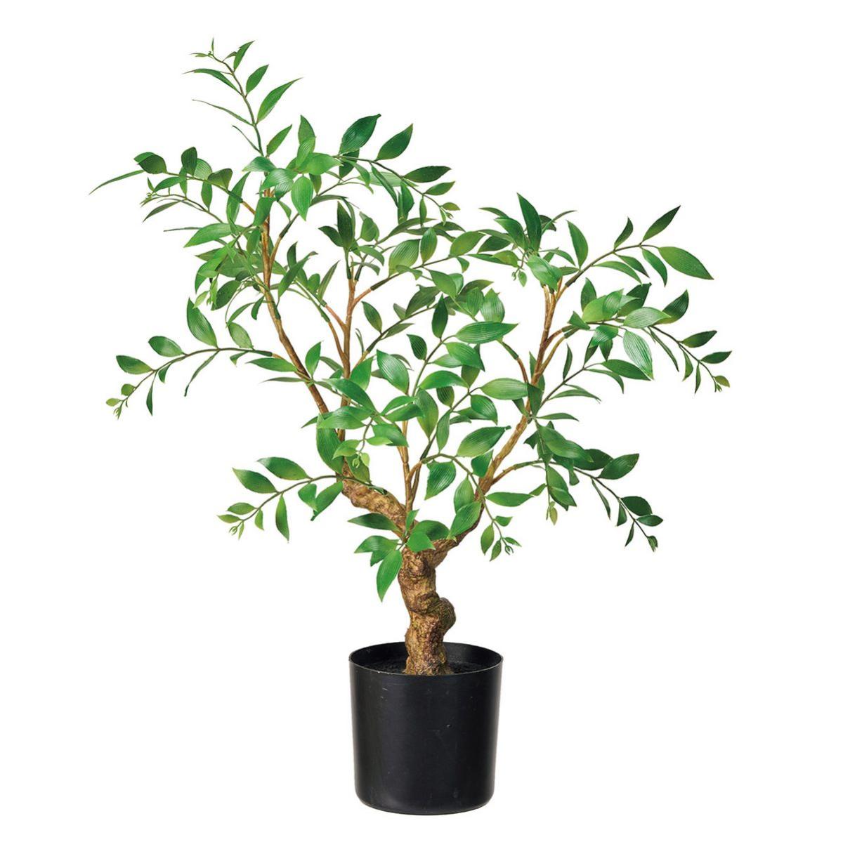 【人工観葉植物】MAGIQ東京堂/ルスカスブランチポット GREEN グリーン/FG002498