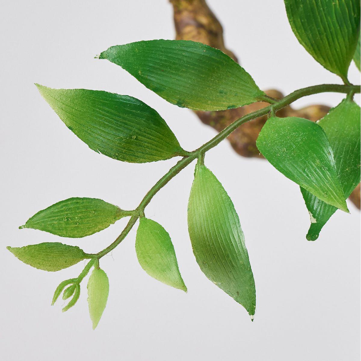 ルスカスブランチポット(光触媒加工商品) GREEN グリーン/ZV002498