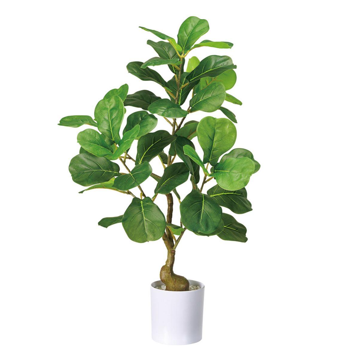 特価◎ゴムノキミニホワイトポット(光触媒加工商品) GREEN グリーン/ZV001240