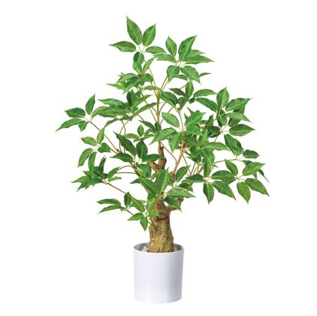 特価◎ボトルツリーホワイトポット(光触媒加工商品) GREEN グリーン/ZV001241