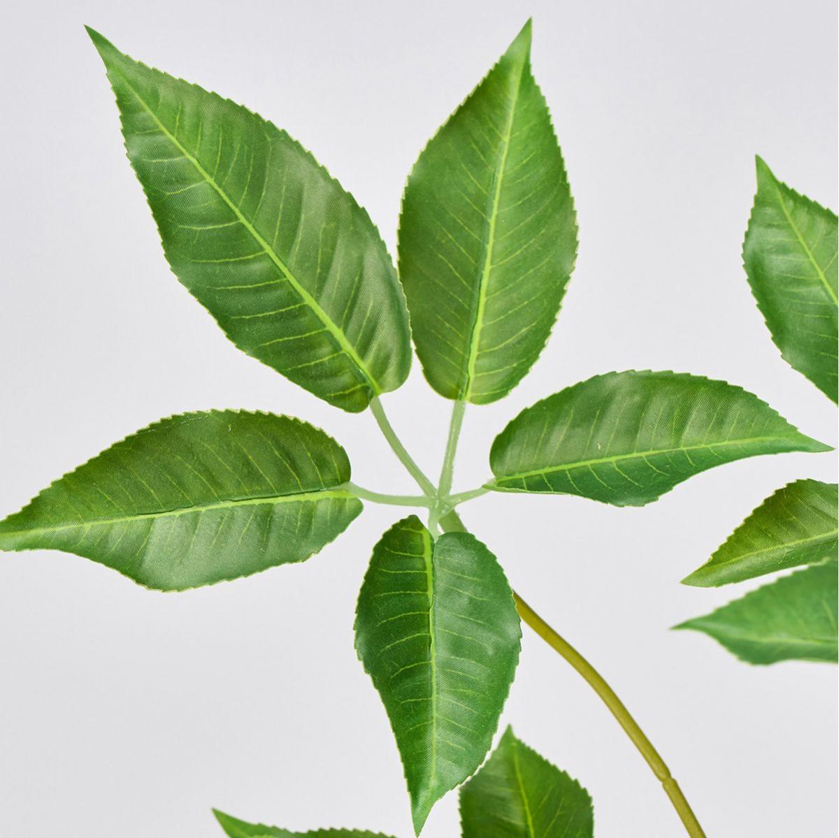 特価◎ボトルツリーホワイトポット(光触媒加工商品) GREEN グリーン/ZV001241