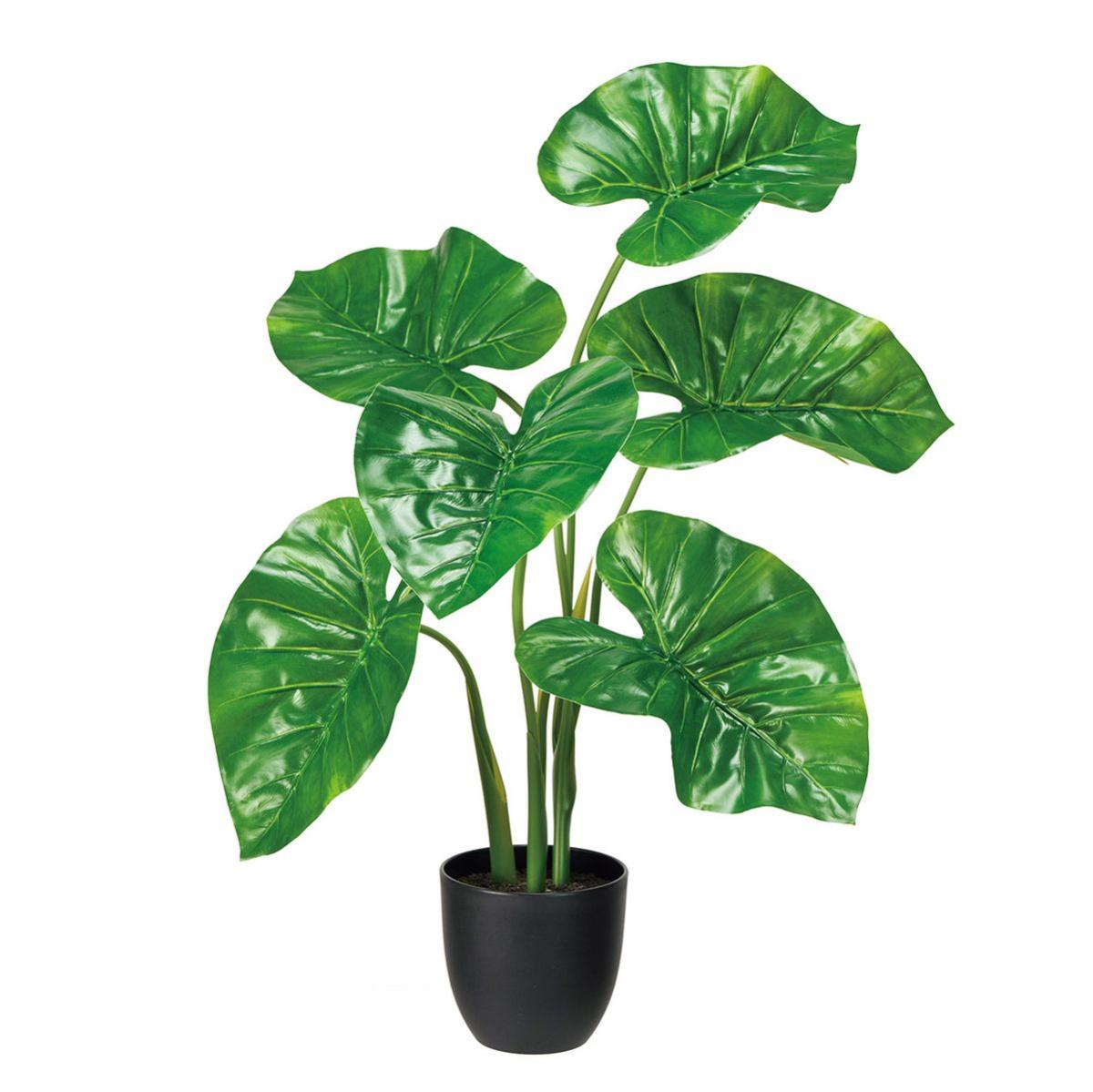 特価◎カラーリーフポット(光触媒加工商品) GREEN グリーン/ZV000807