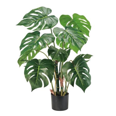 特価◎モンステラミディポット(光触媒加工商品) GREEN グリーン/ZV003824