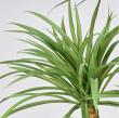特価◎【人工観葉植物】MAGIQ東京堂/ユッカミディポット GREEN グリーン/FG002499